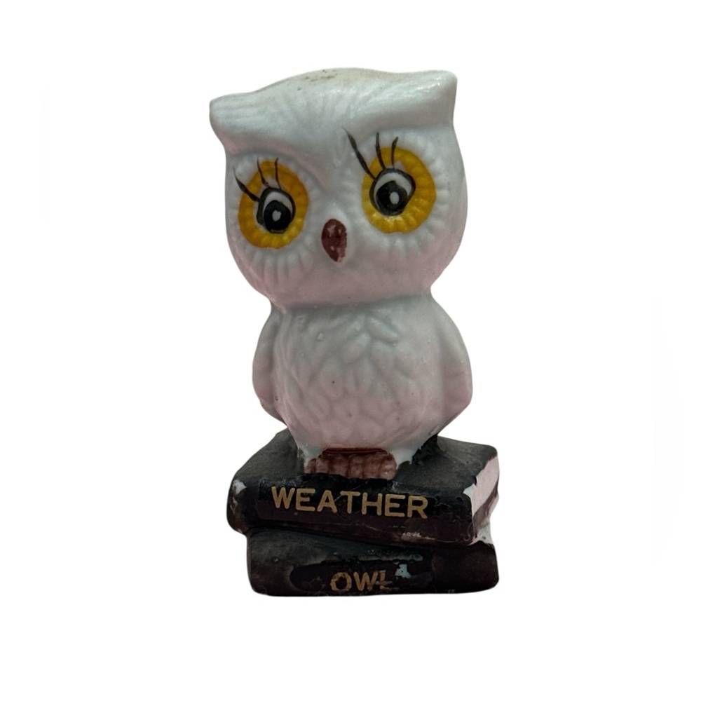 Vintage Enesco Weather Owl figurine